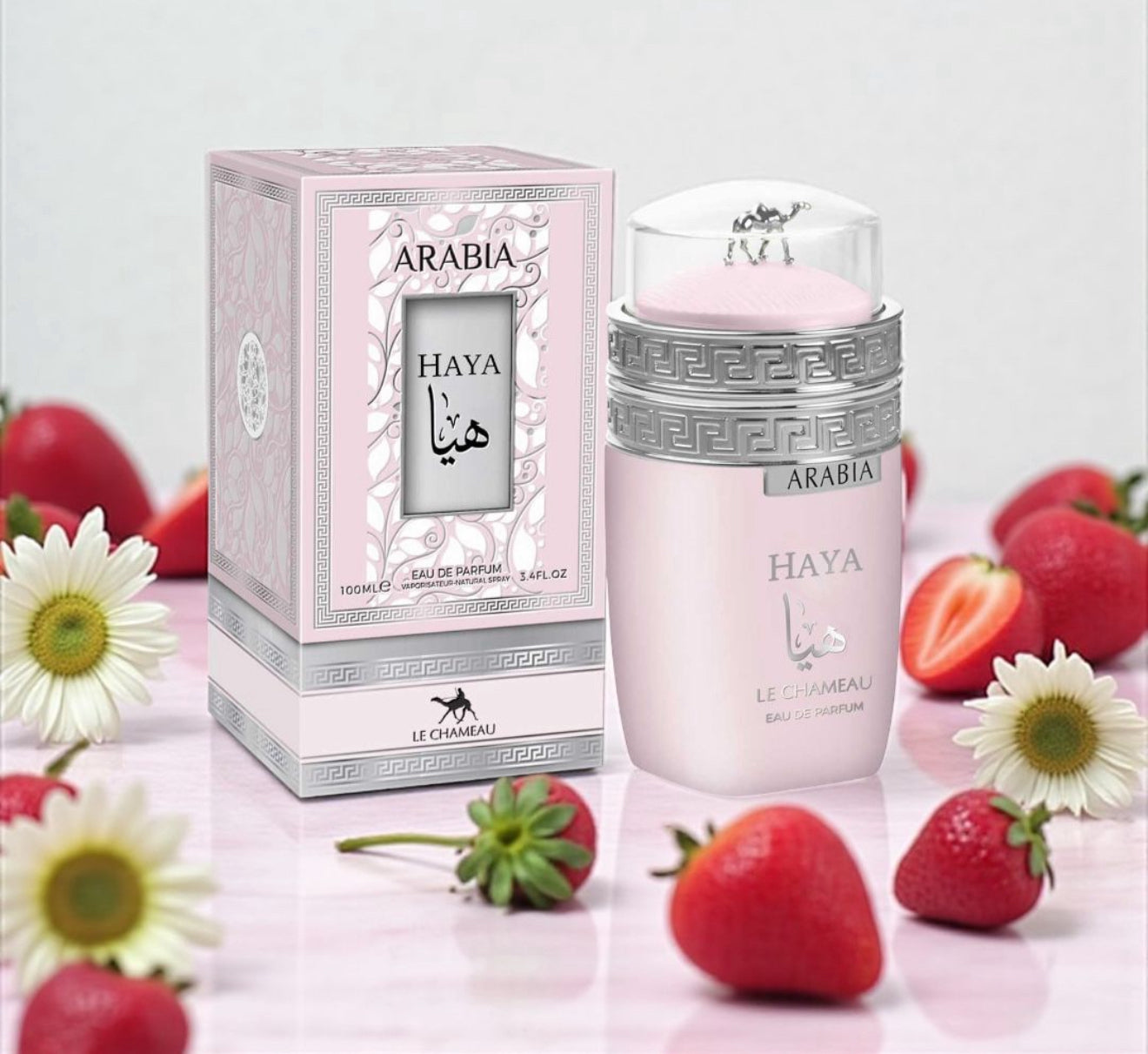 Arabia Haya ( Lechameu )